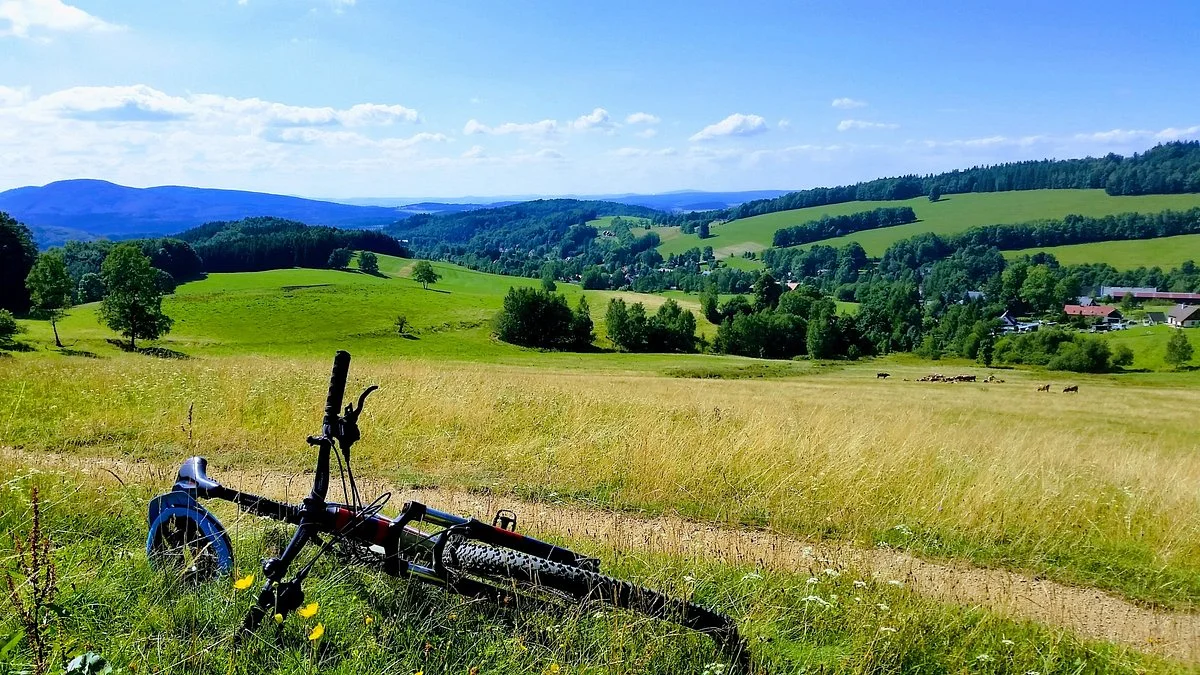 Single Track
