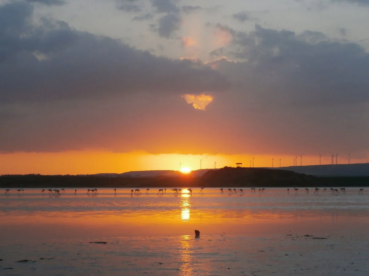 Larnaka Salt Lake