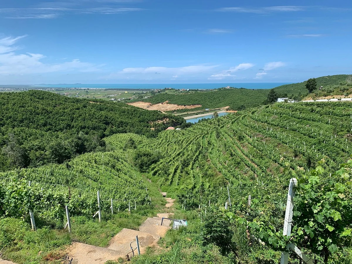 Duka Winery and Vineyard