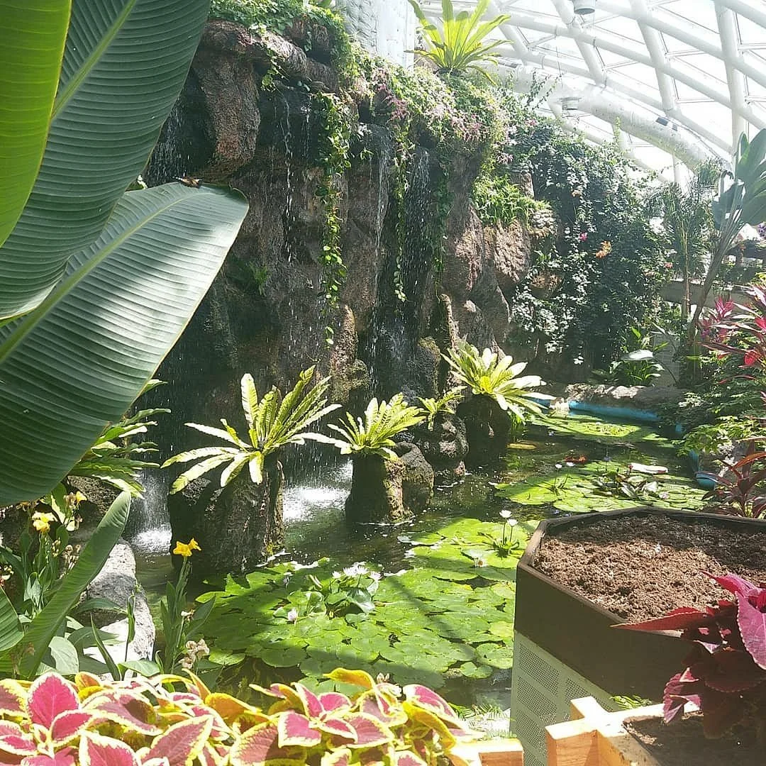 Konya Tropical Butterfly Garden