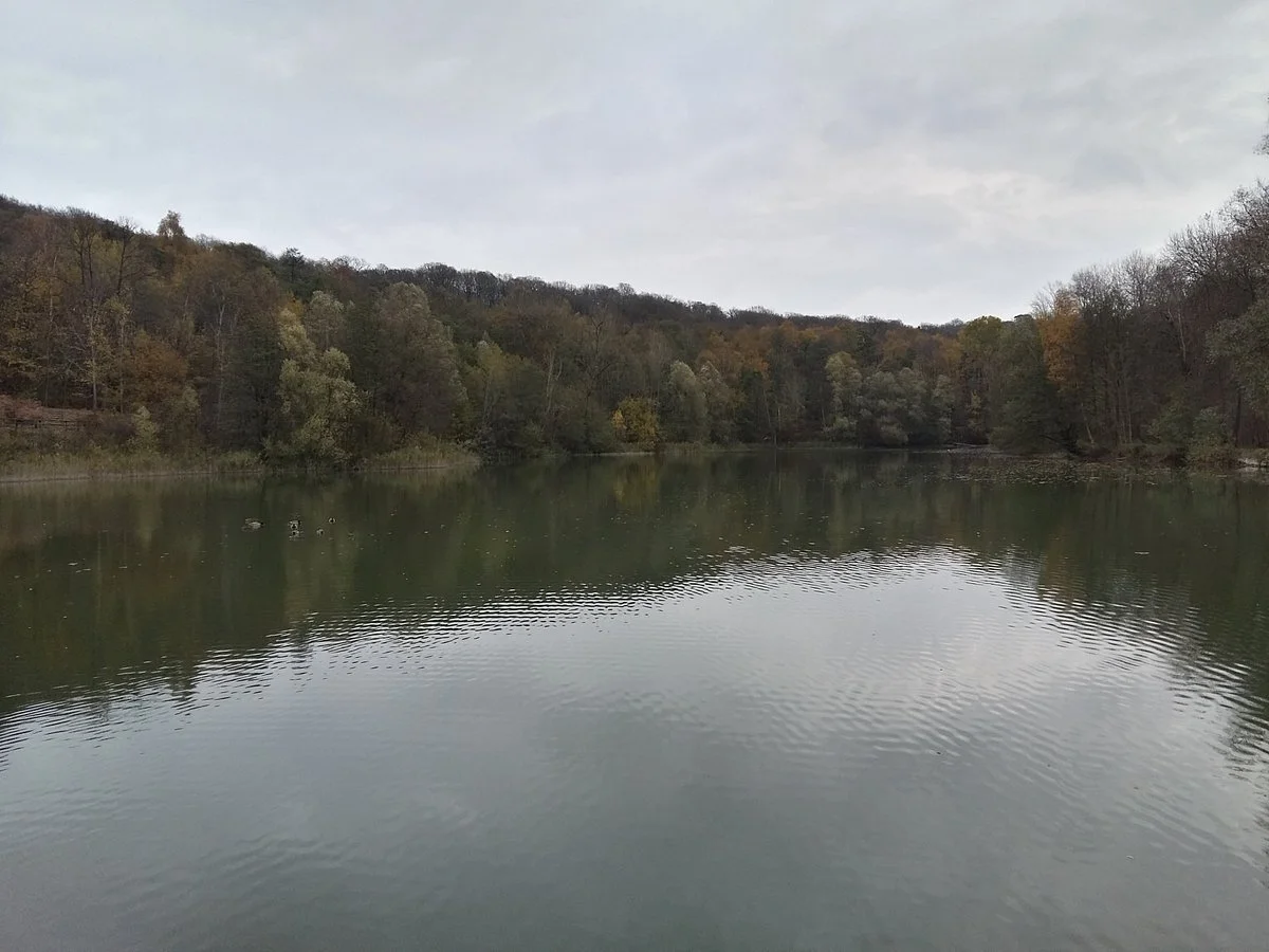Forêt de Carnelle