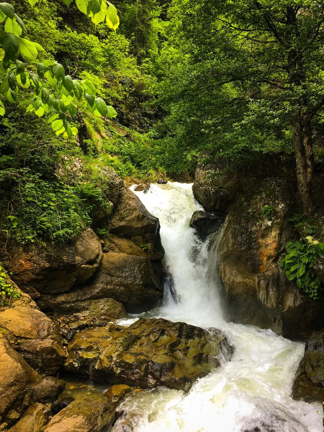 Altindere Vadisi National Park