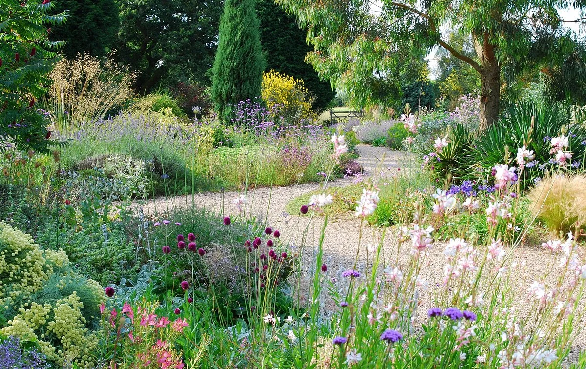 Beth Chatto's Plants & Gardens