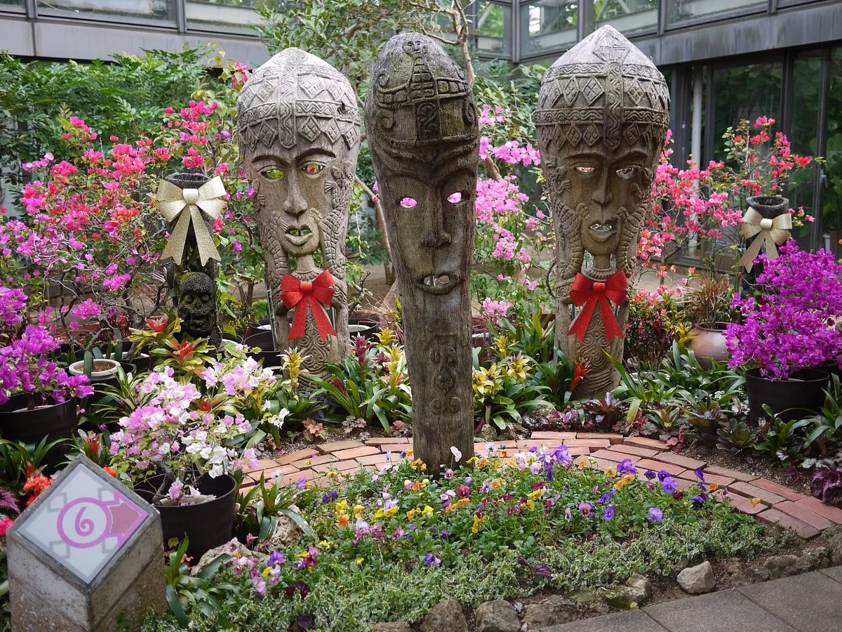 Tropical Dream Center