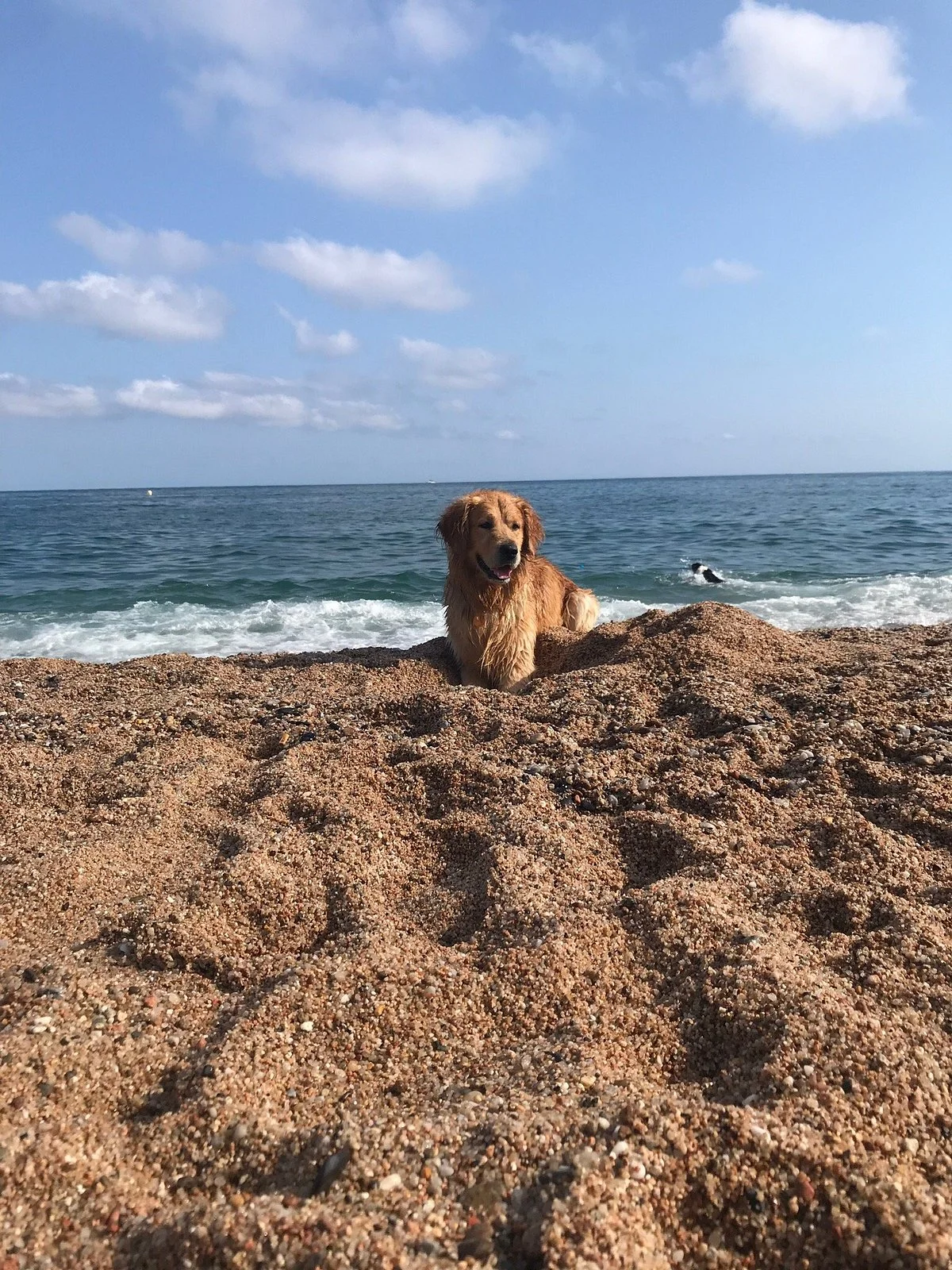 Platja Per Grossos