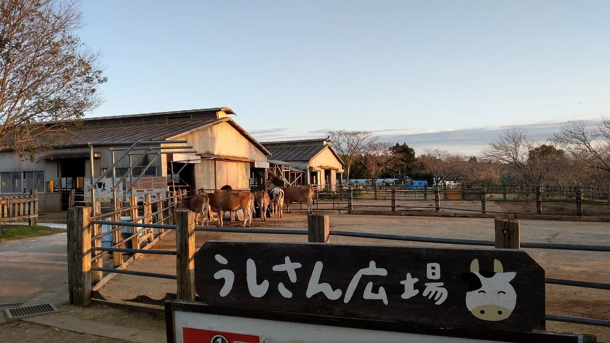 Mori no Makiba Auto Campsite
