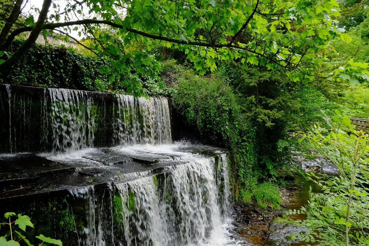 Skipton Castle Woods