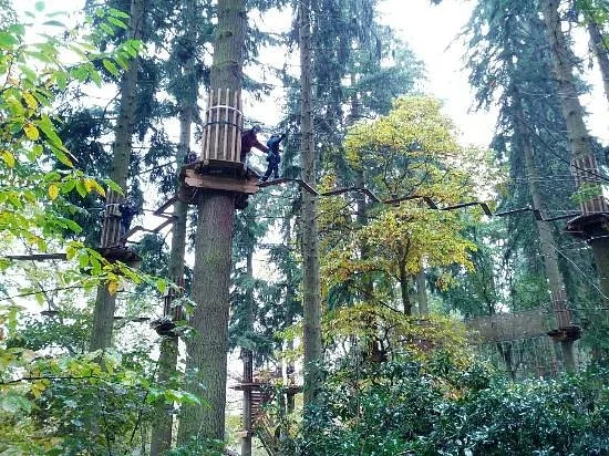 Thetford Forest Park