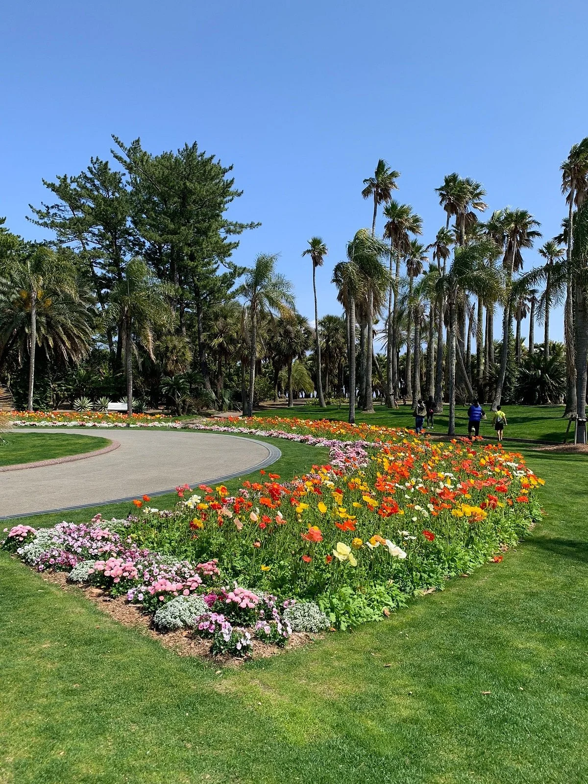 Miyakoh Botanic Garden Aoshima