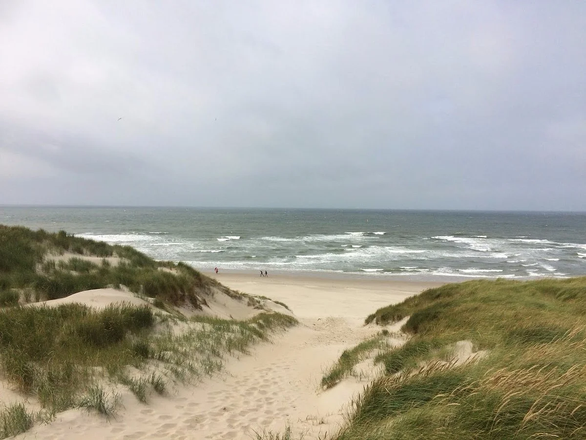 Nationaal Park Duinen van Texel
