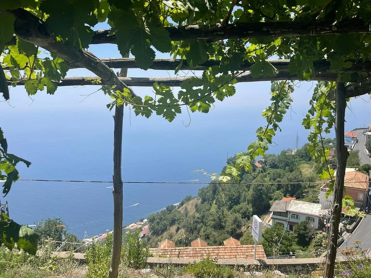 Cantine Marisa Cuomo