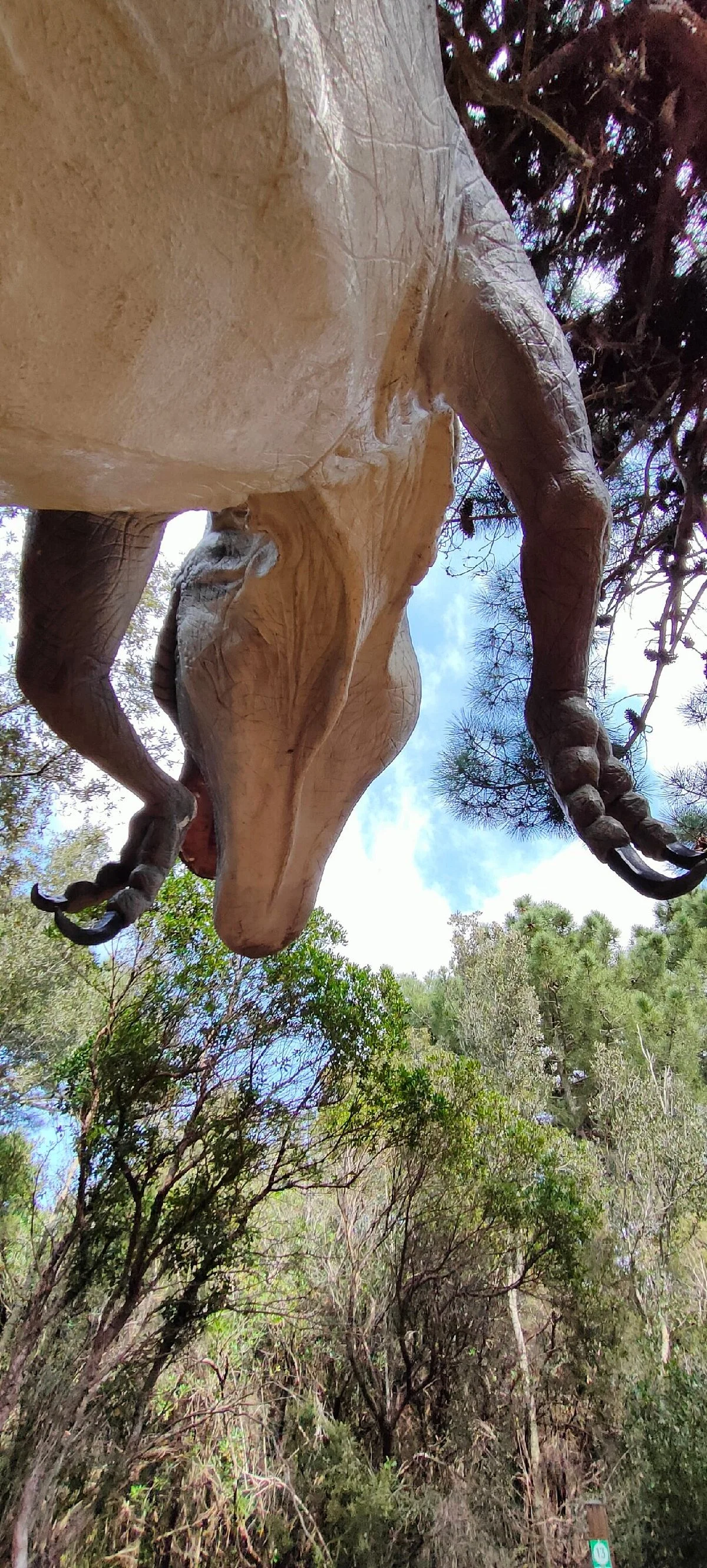 Dinosauri in Carne E Ossa