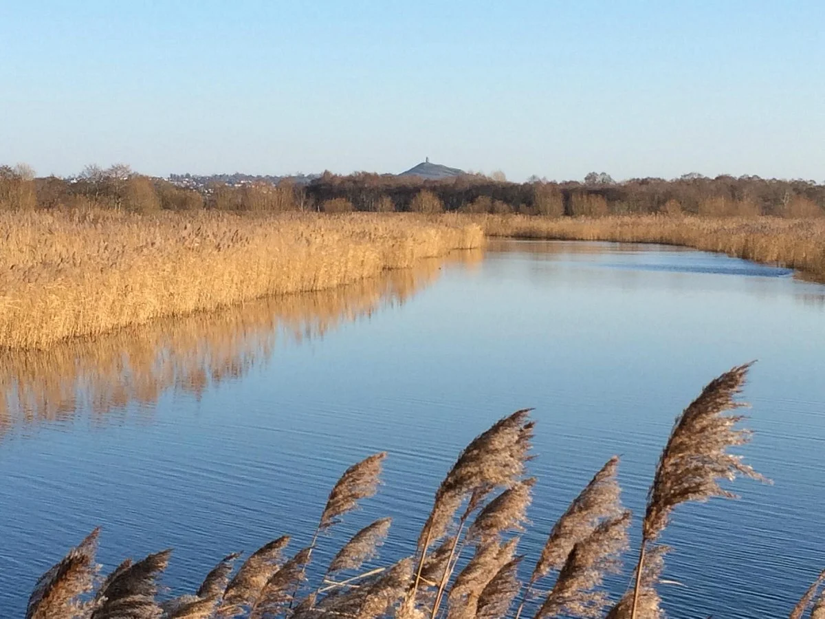 Somerset Levels and Moors