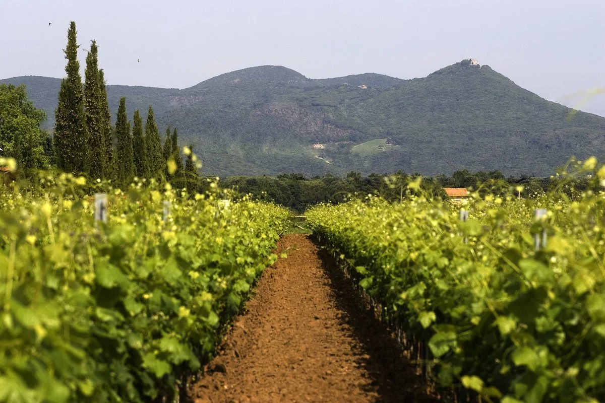 Terre del Marchesato