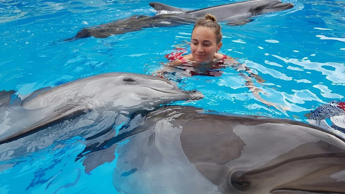 Dolphinarium Koktebel