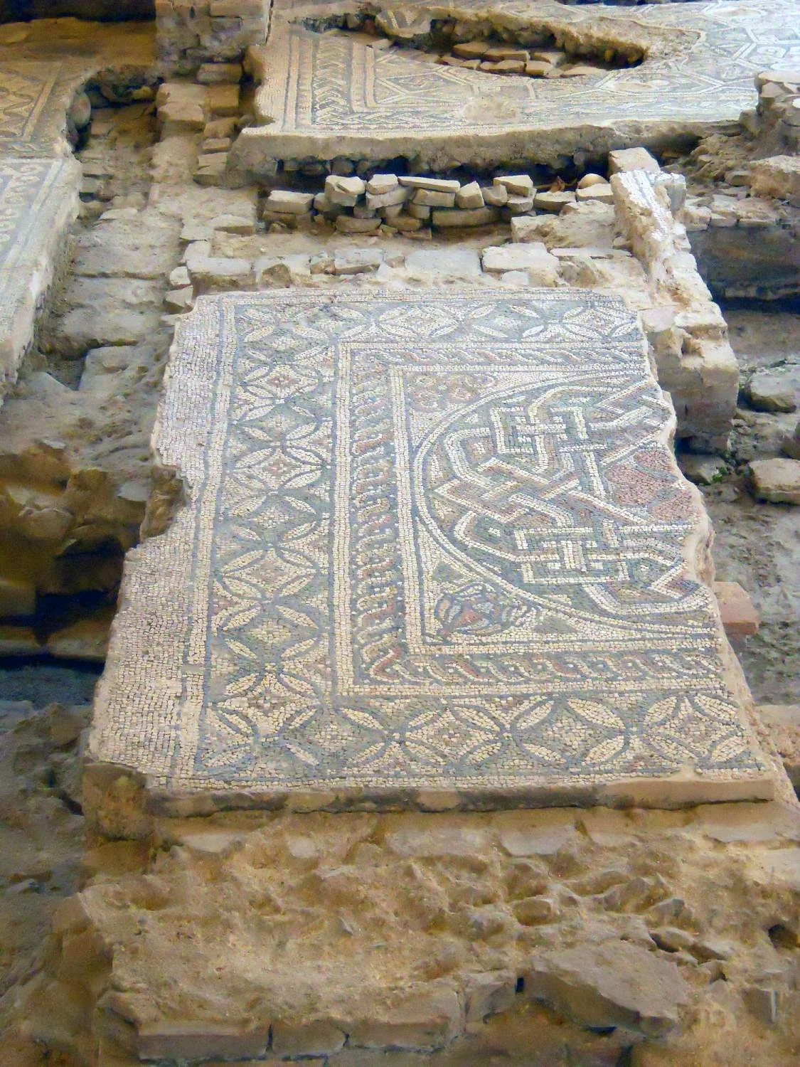 Domus del Chirurgo