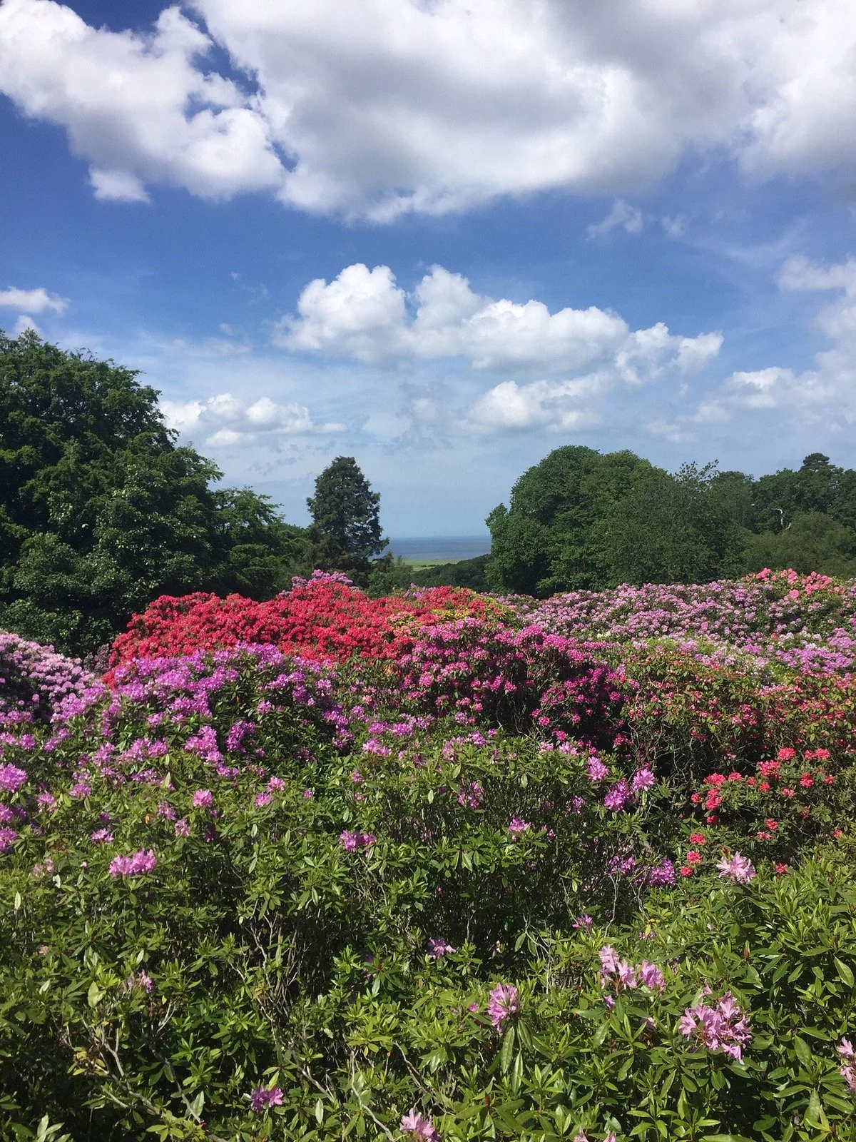 Sheringham Park