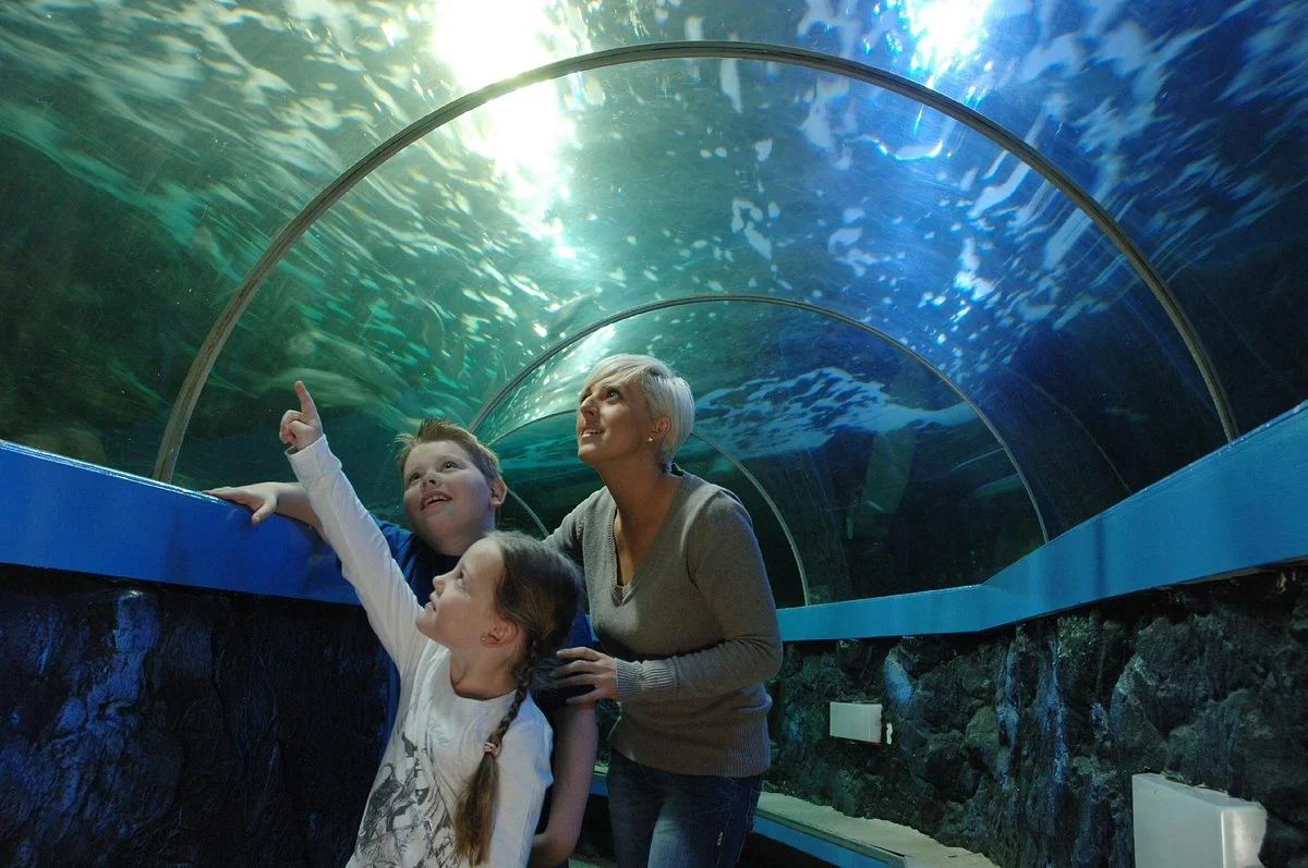 SeaQuarium Rhyl
