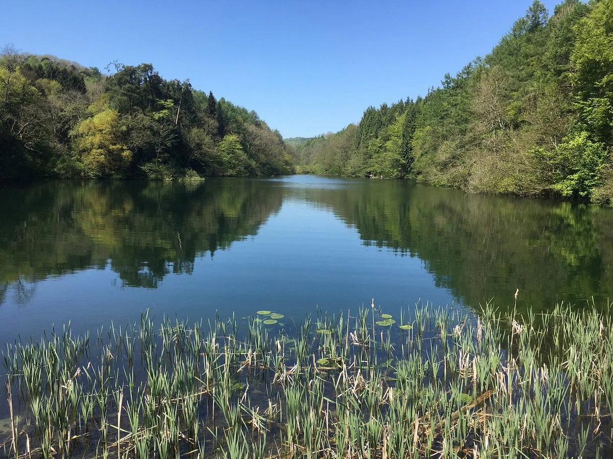 Woodchester Park
