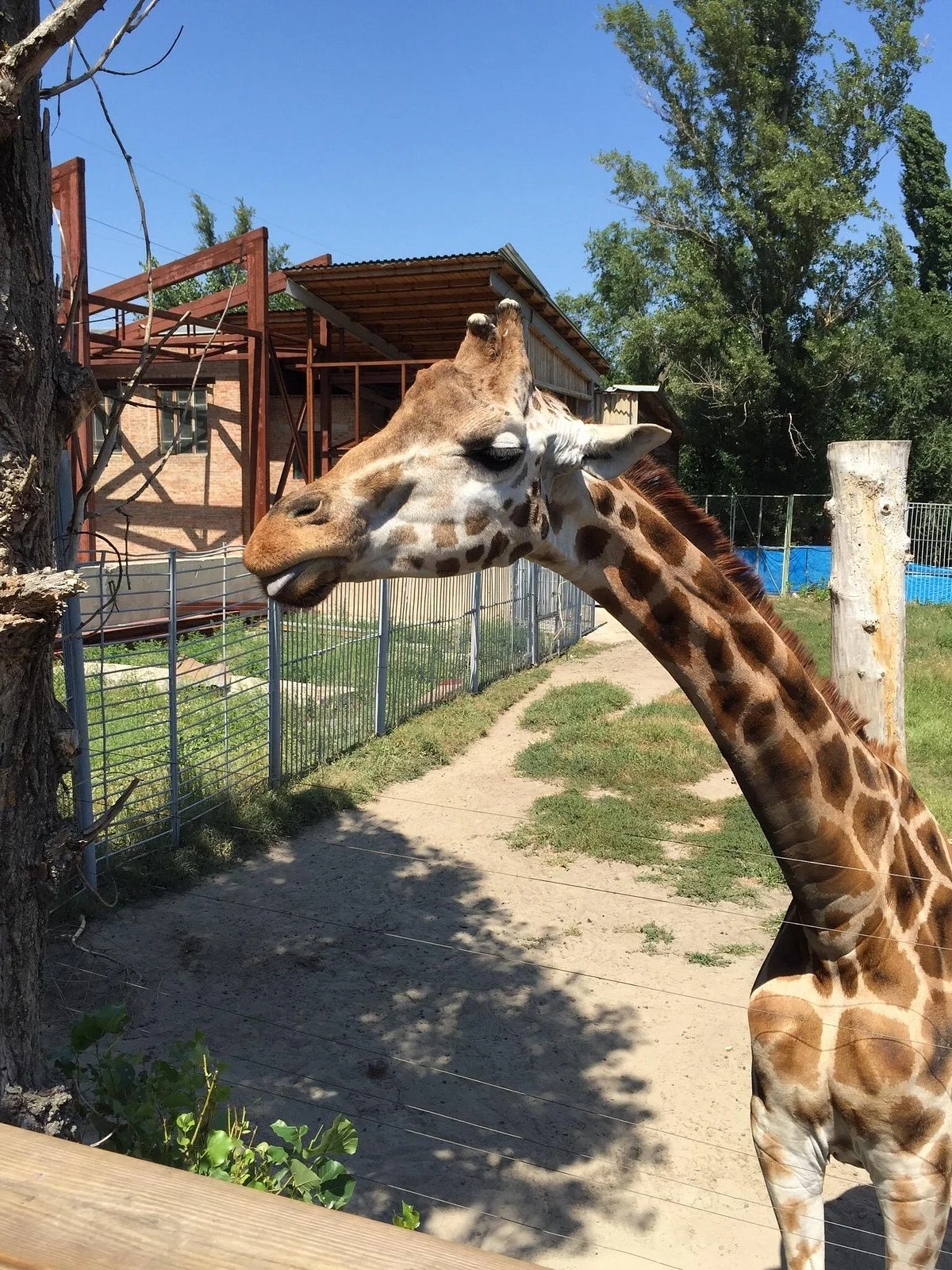 Rostov Zoo