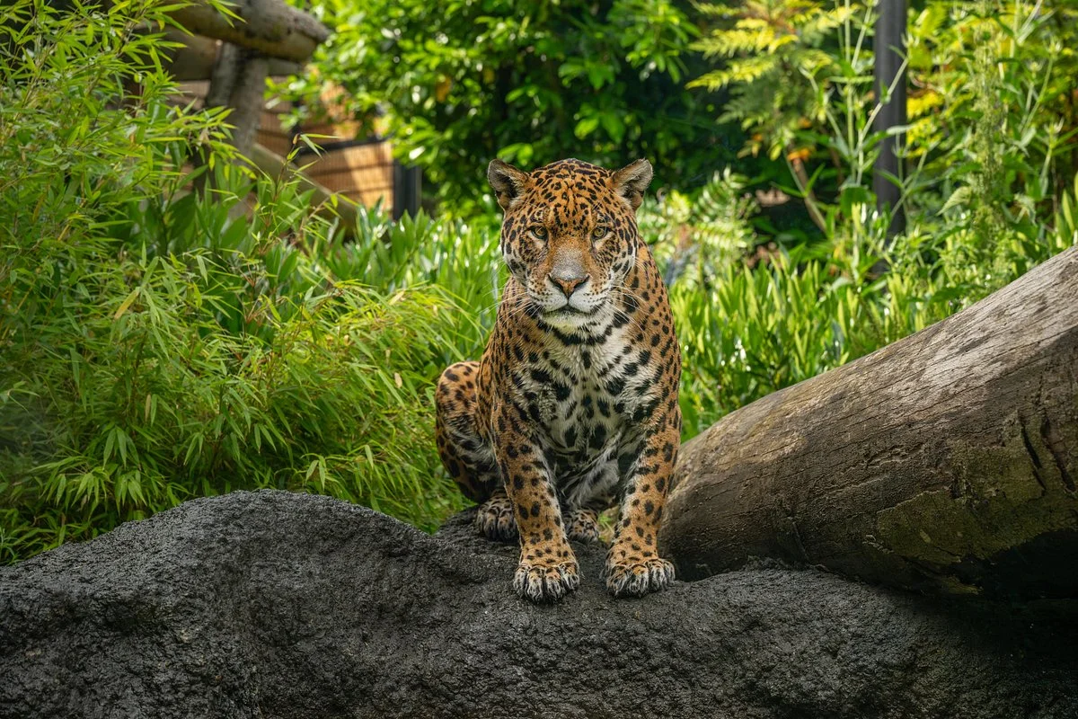 Paradise Wildlife Park
