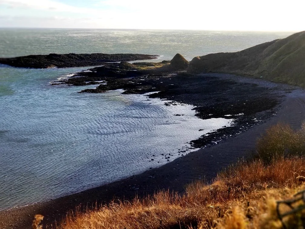 Catterline Bay