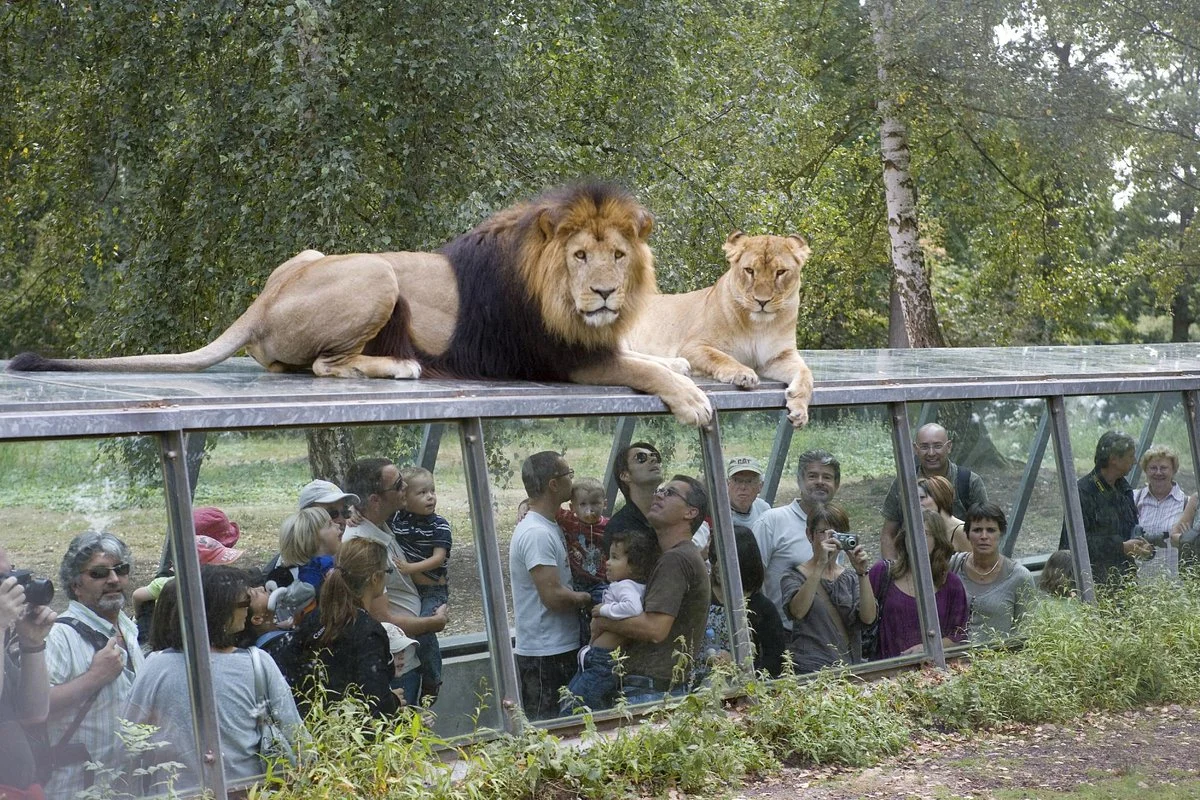 Parc Zoologique et Château de Thoiry