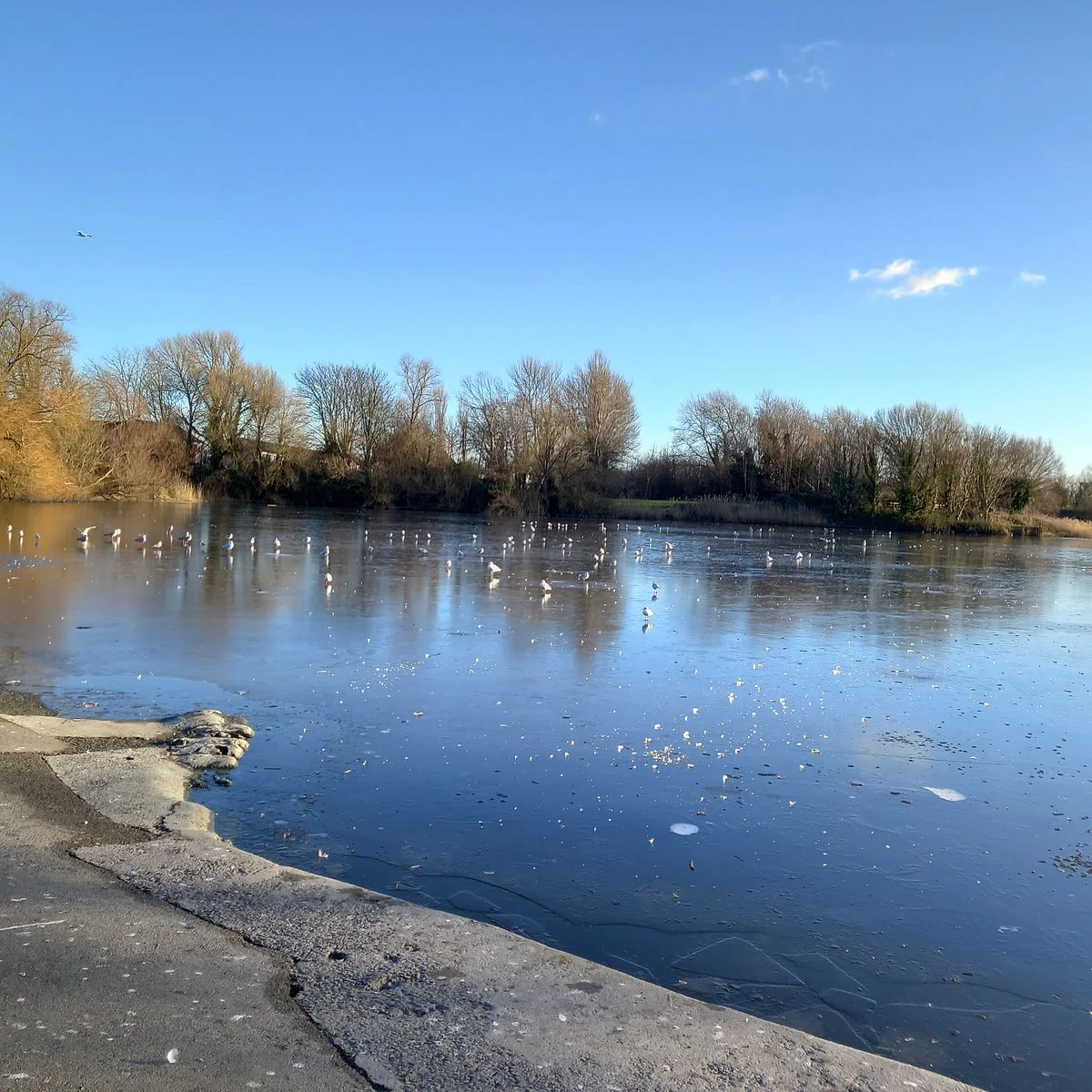 Apex Leisure & Wildlife Park