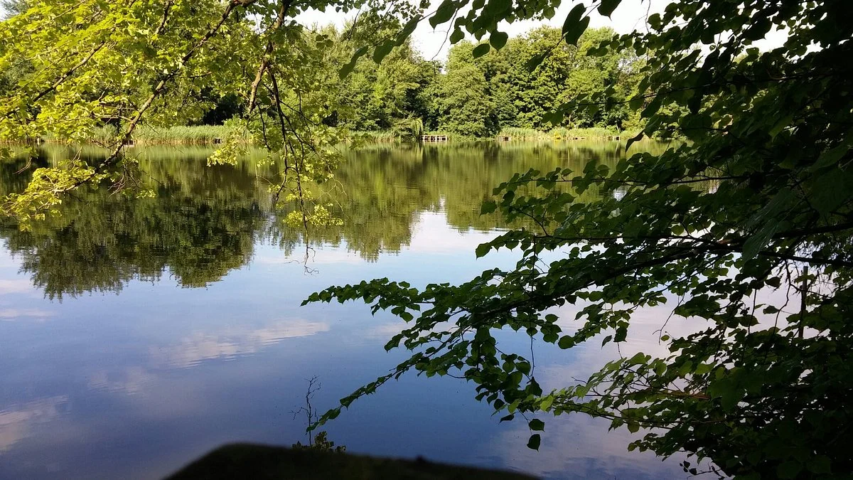 Stanton Park