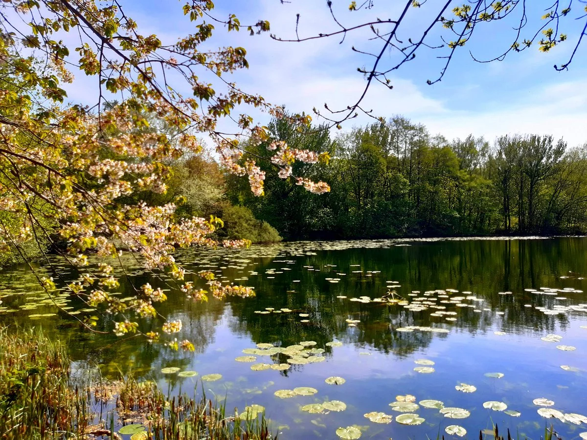 Sandwell Valley Country Park