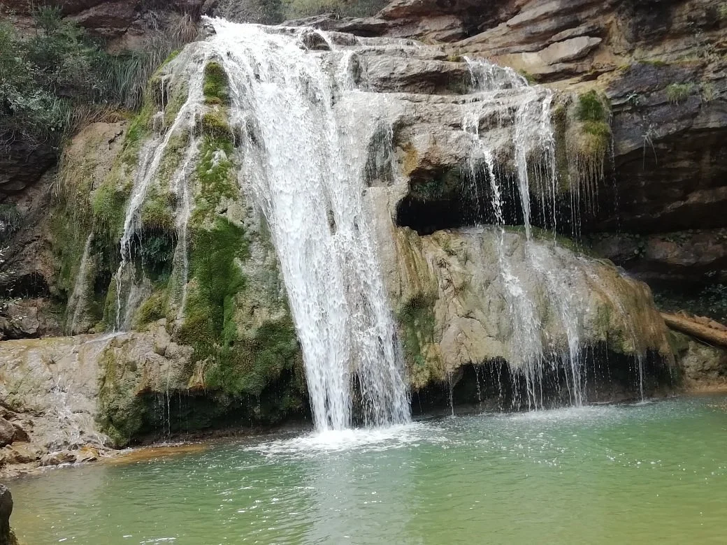 Ruta del 7 Gorgs