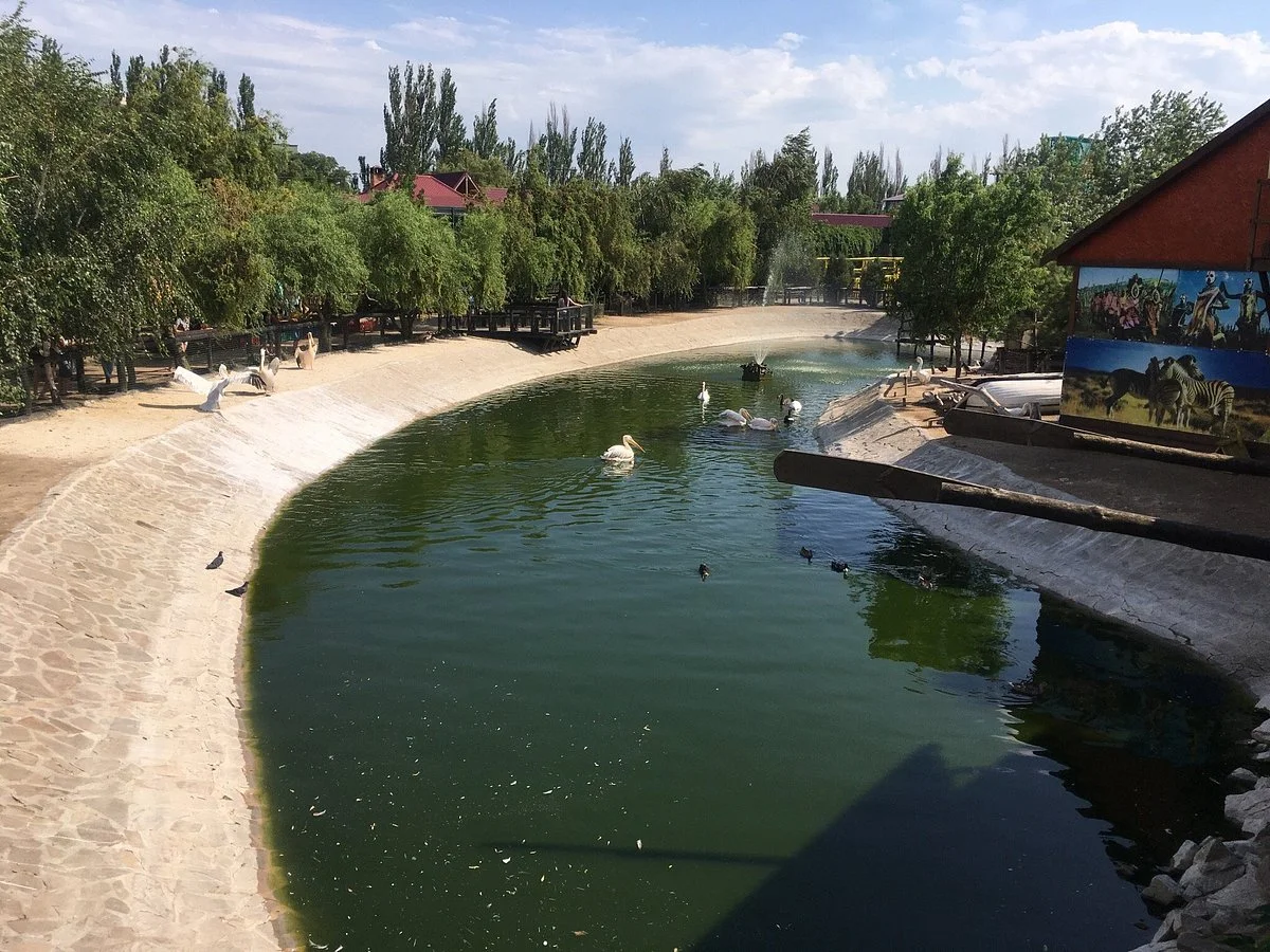 Safari Zoo