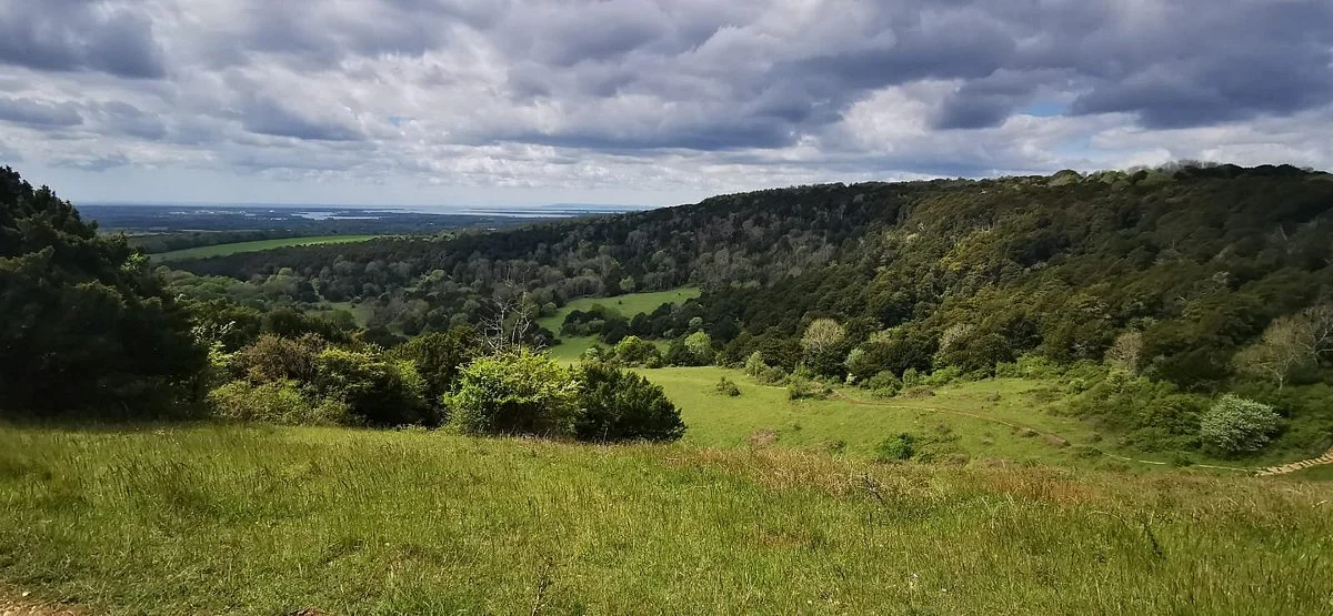 Kingley Vale