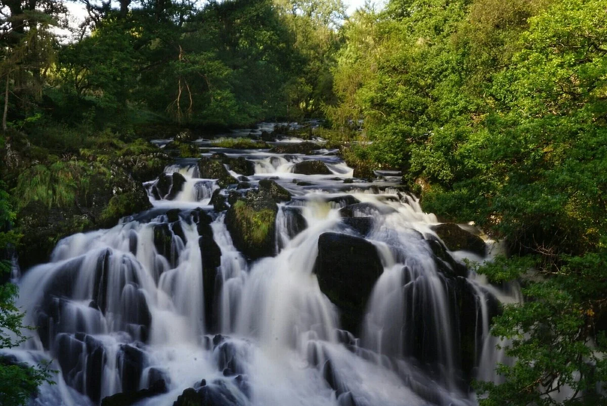 Swallow Falls
