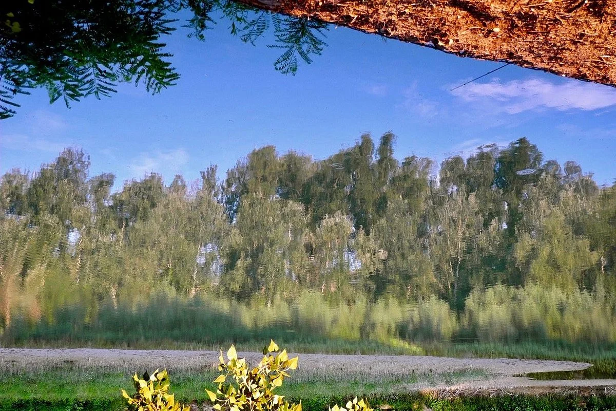 Parco della Chiusa