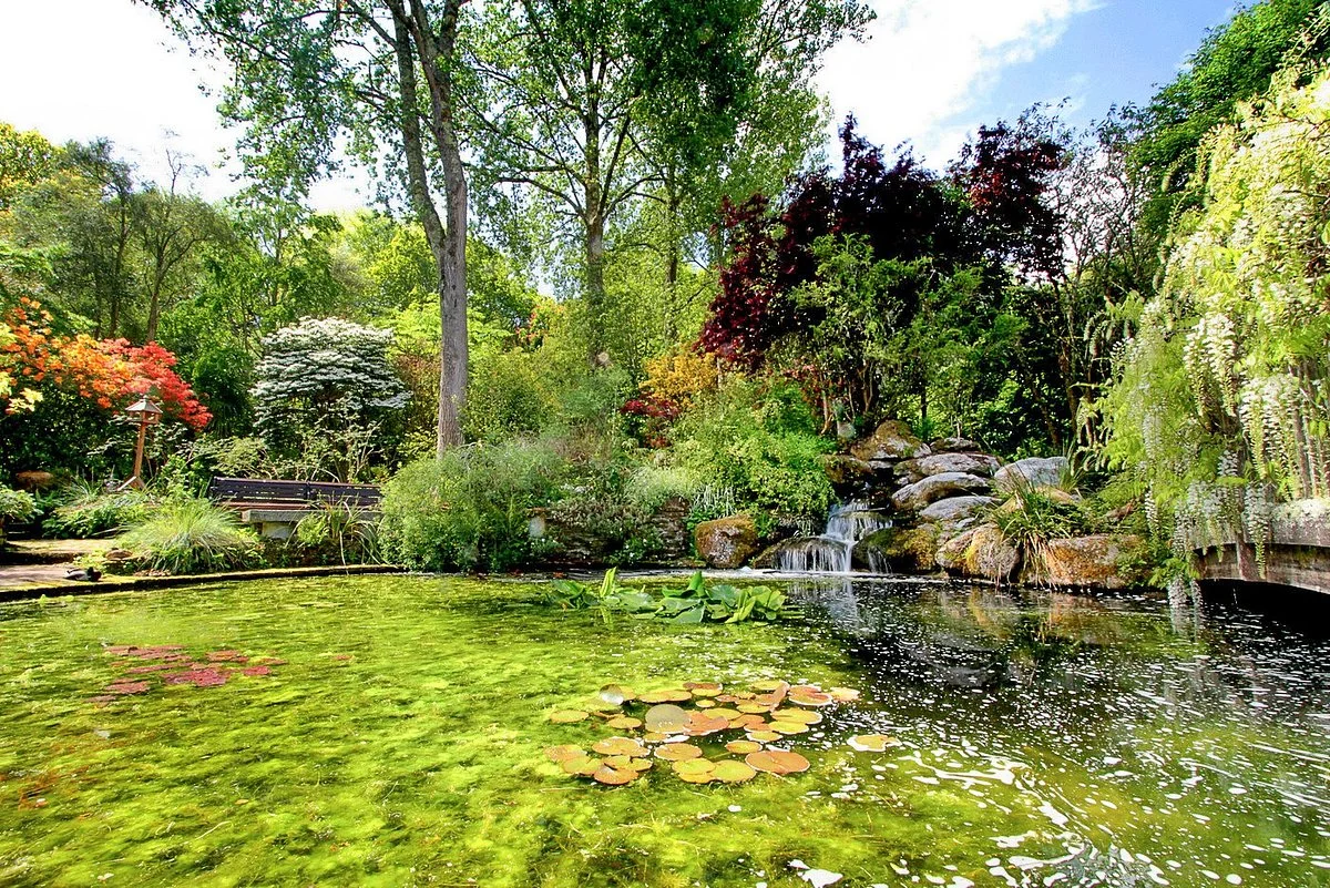 Pinetum Gardens