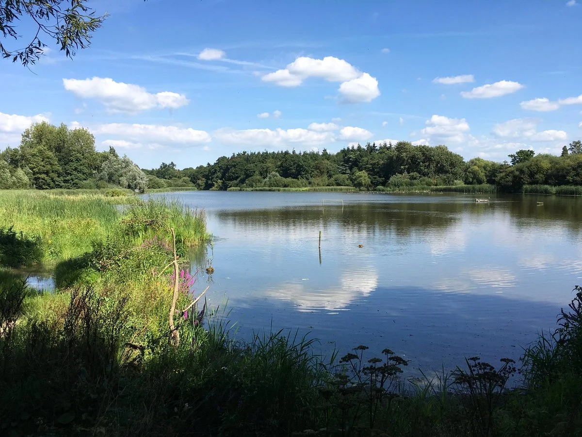 Warnham Local Nature Reserve
