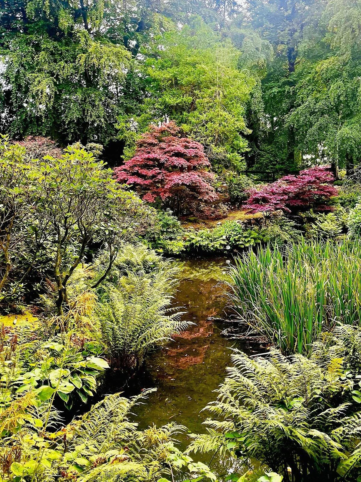 Johnston Gardens