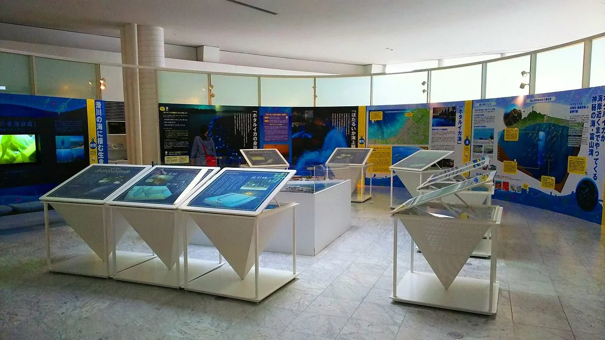 Firefly Squid Museum