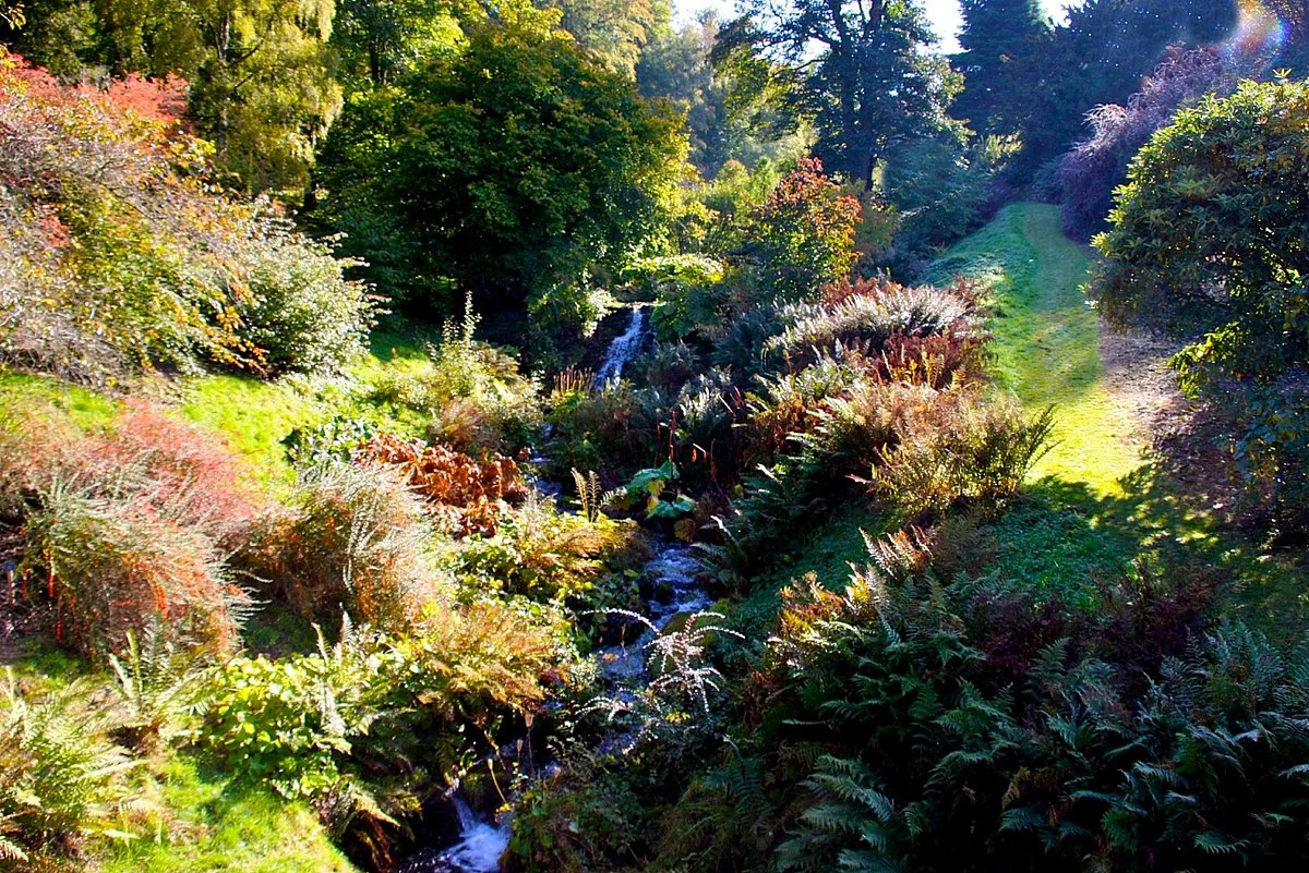 Dawyck Botanic Garden and Cafe