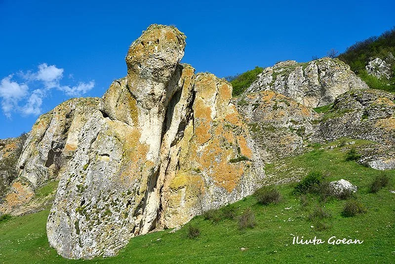 Dobrogea Gorges Reserve