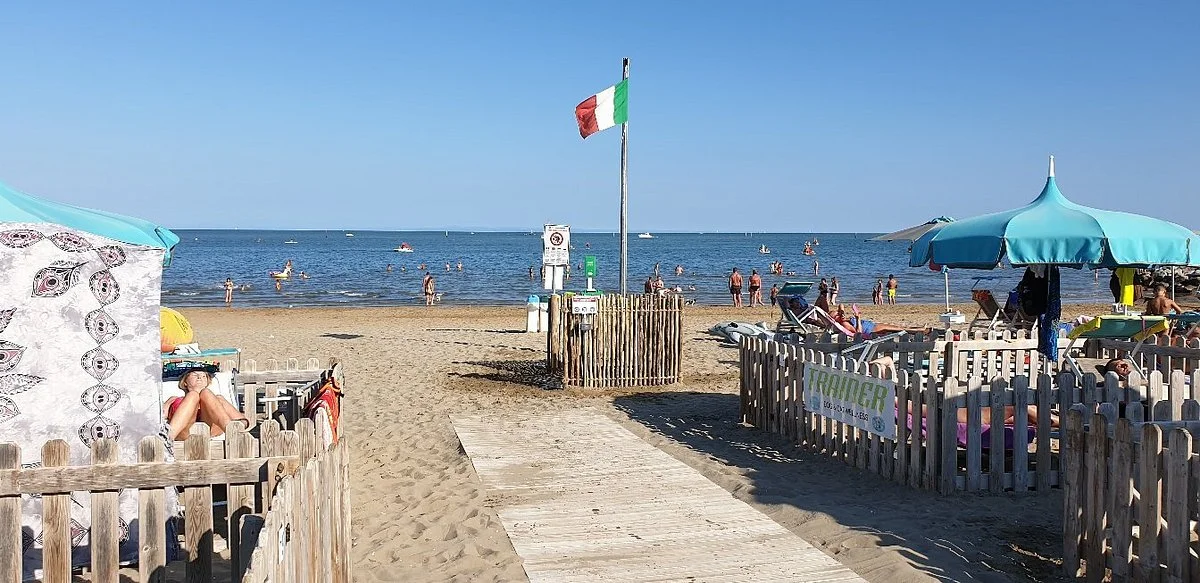 Doggy Beach