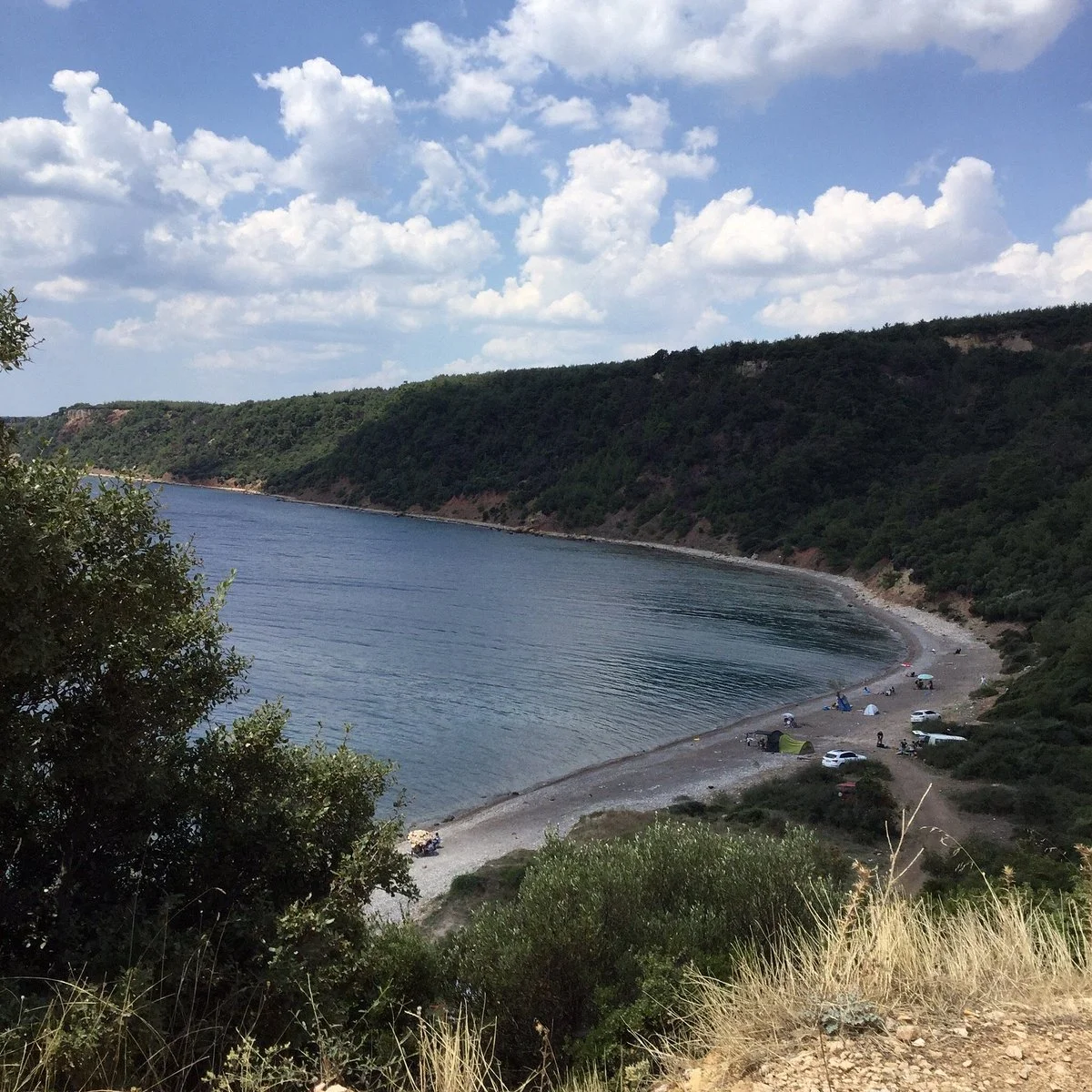 Sait Faik Abasıyanık Koyu