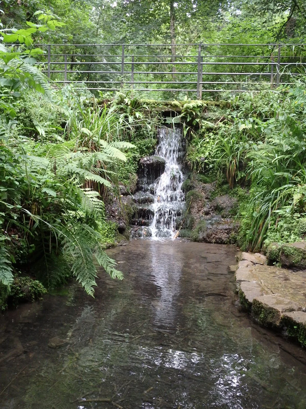 Ninesprings Country Park
