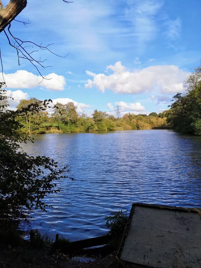 The mill pond