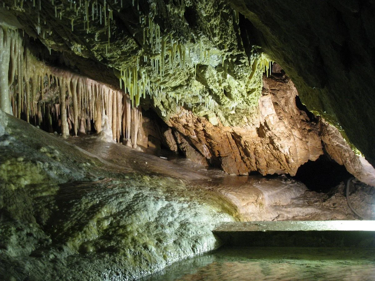 Bear Cave