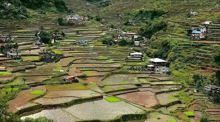 Baguio Athletic Bowl