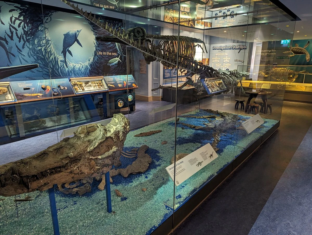 Peterborough Museum & Art Gallery