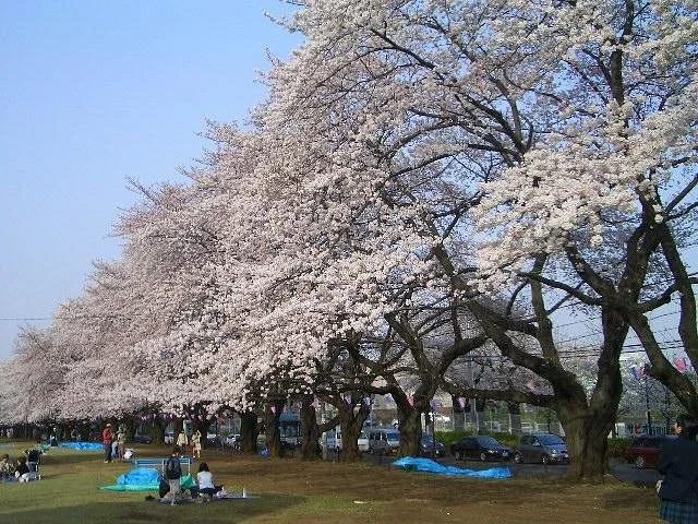 Sayama Inariyama Park