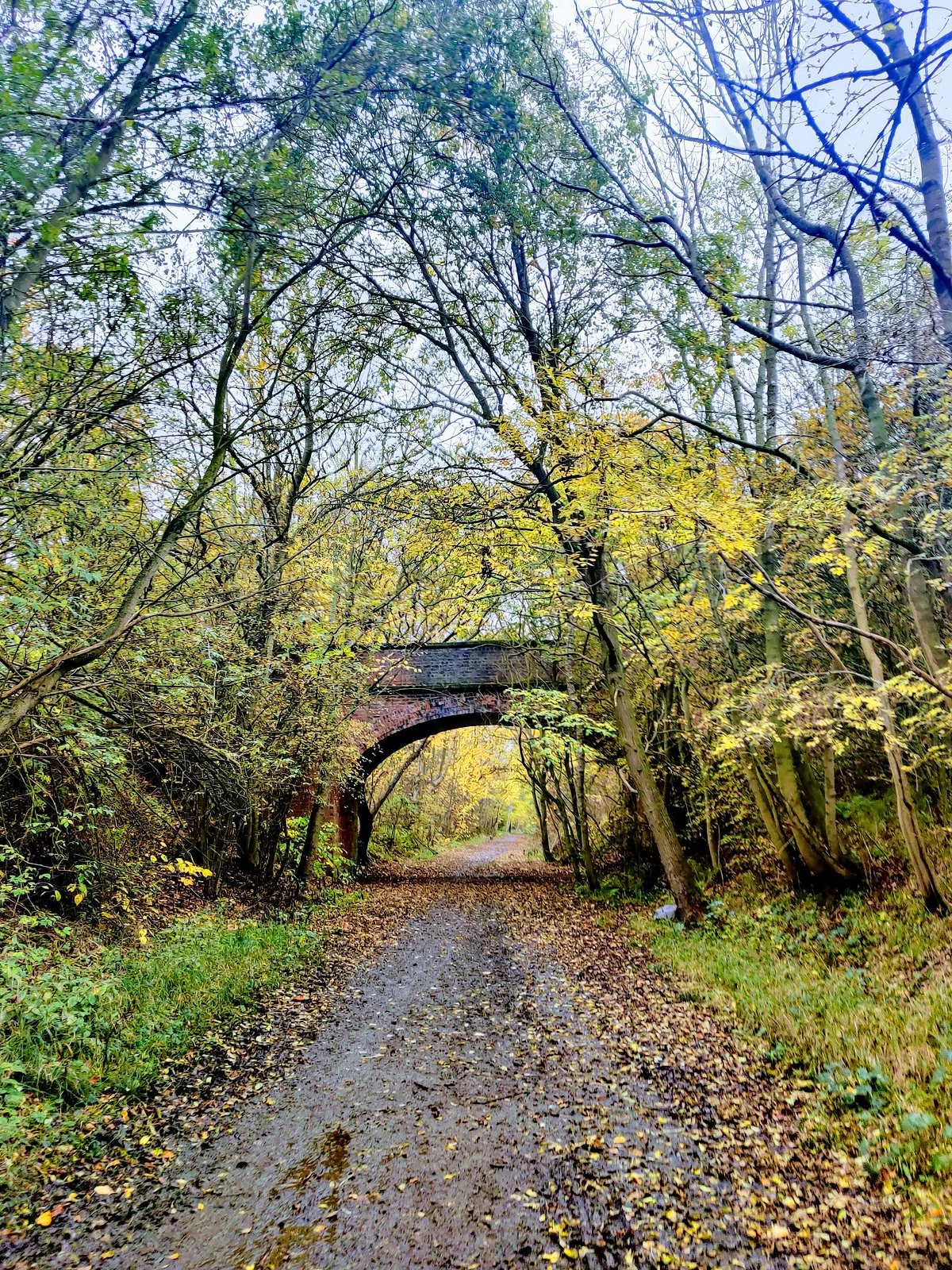Wynyard Woodland Park